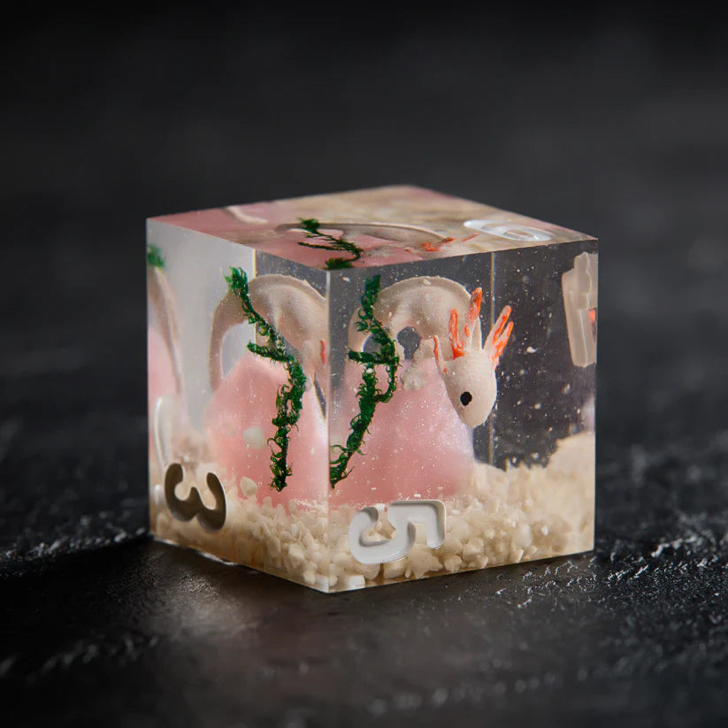 Axolotl Perched on Pink DND Resin Sharp Edge Dice Set